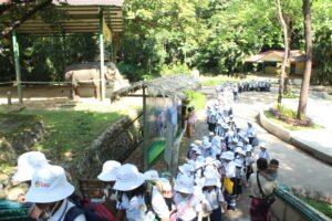 School Trips img 4915