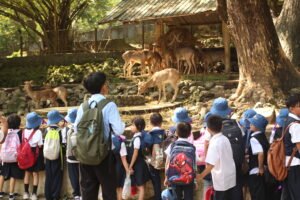 School Trips img 5461