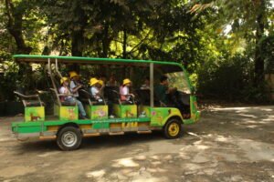School Trips img 5518